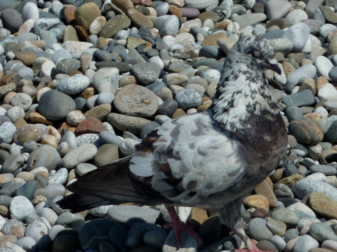 Голубятня каменная