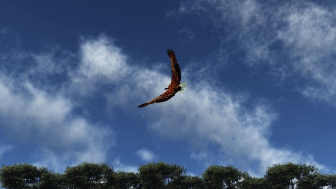 Горные птицы в полете