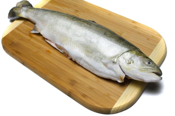 Морской окунь Групер