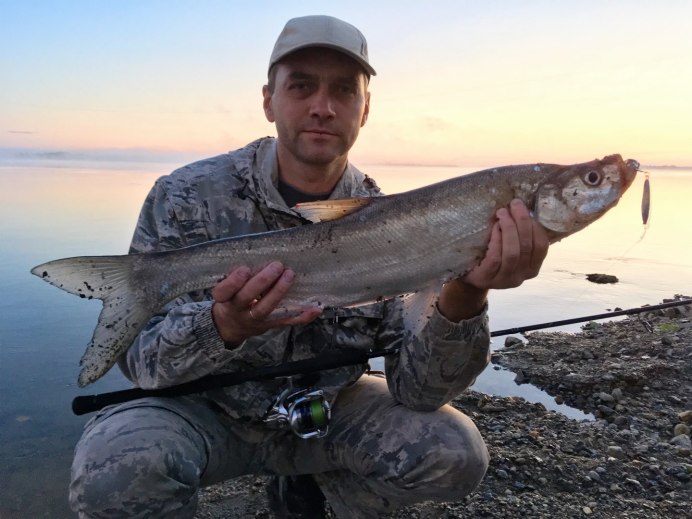 Обои на рабочий стол касатки