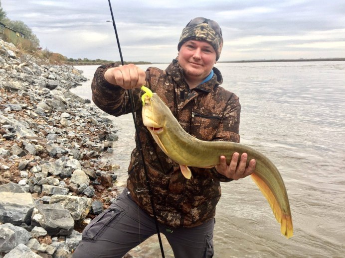 Морской сомик