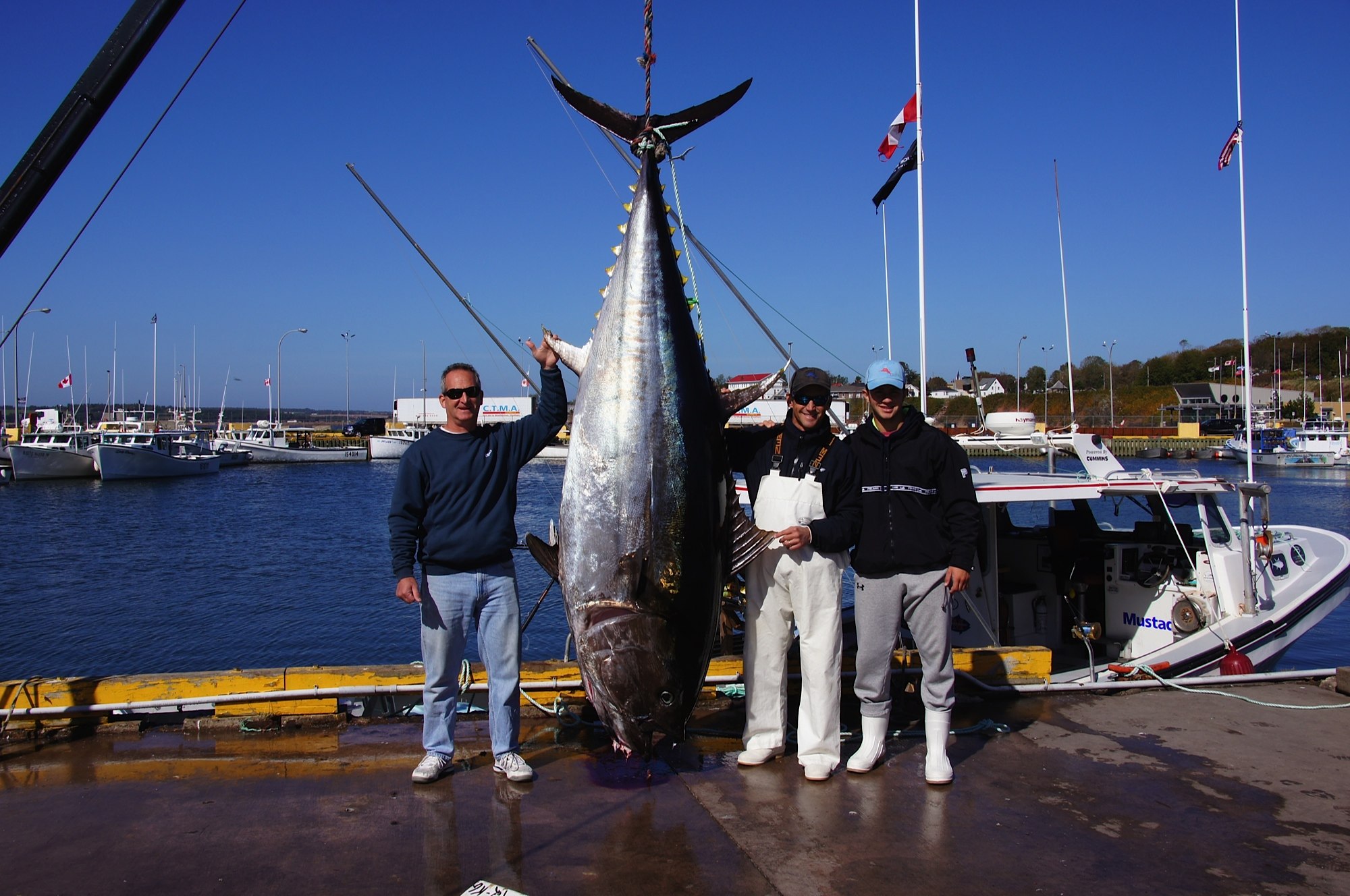 Ловля огромного. Тунец 600 кг. Тихоокеанский голубой тунец. Желтопёрый тунец самый большой. Giant Bluefin Tuna.