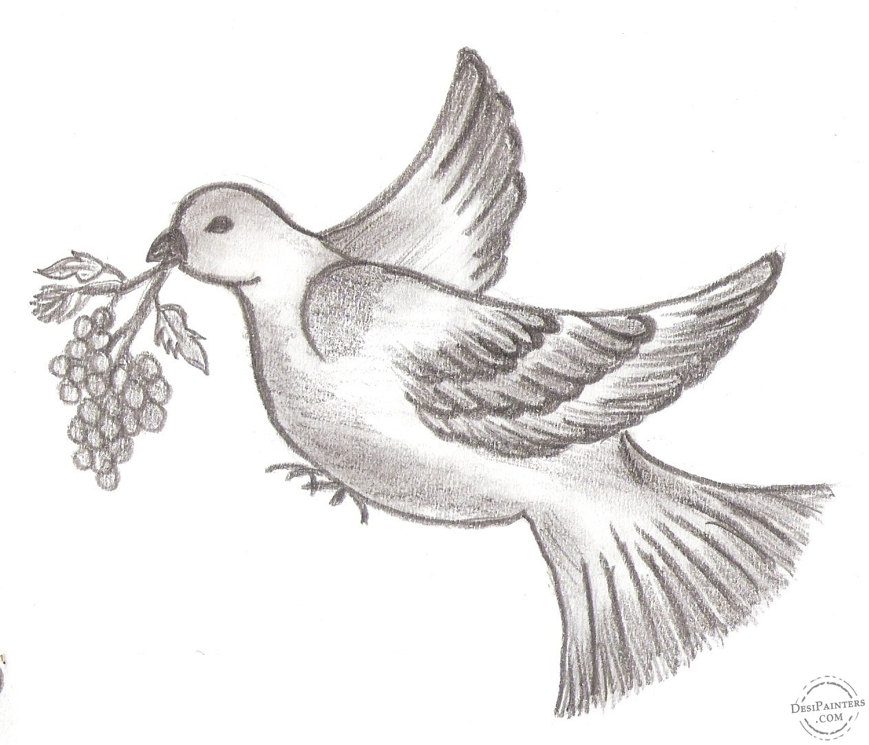 Птица нарисованная карандашом (46 фото)