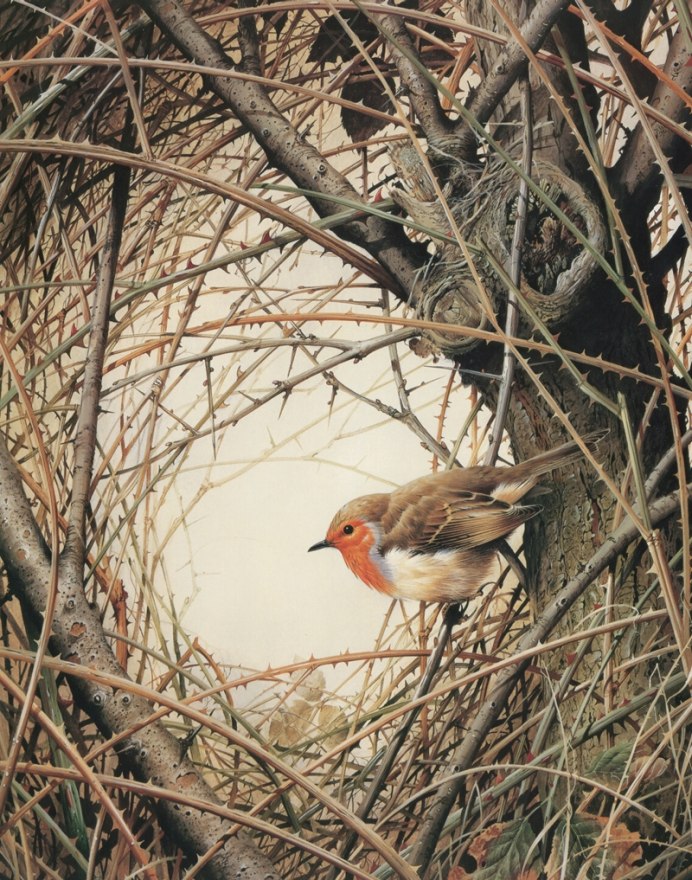 Птица Весенняя пеночка