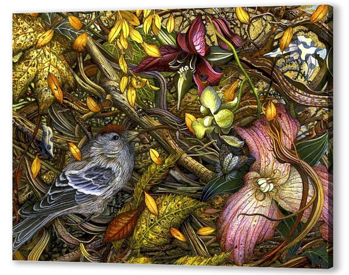 Сорокопут жулан кладовая