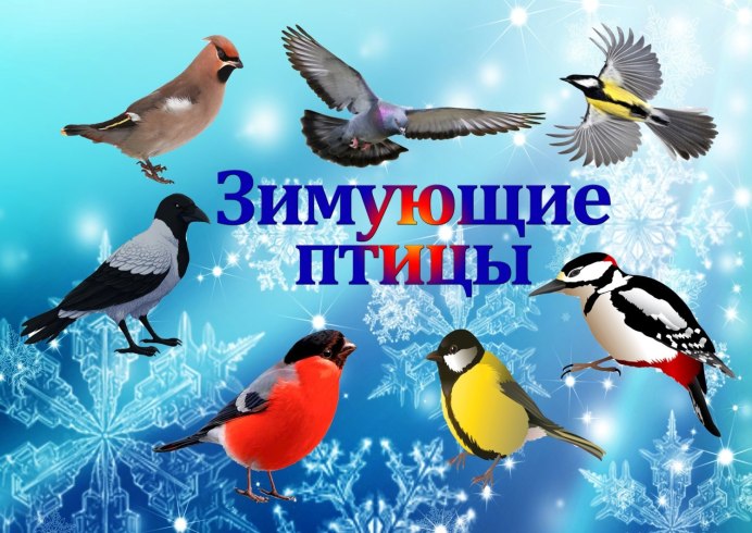 Птицы зимующие в России в средней полосе России