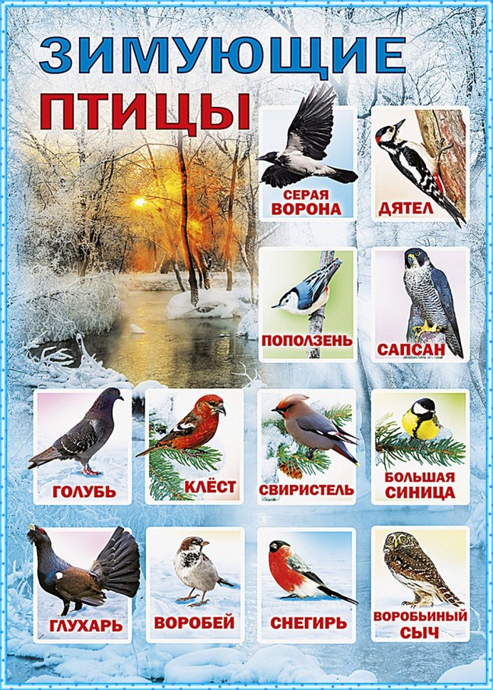 Перелетные птицы Забайкалья
