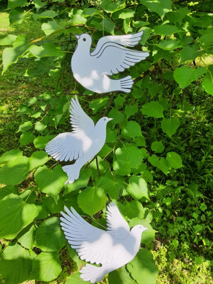 Fantail голубь