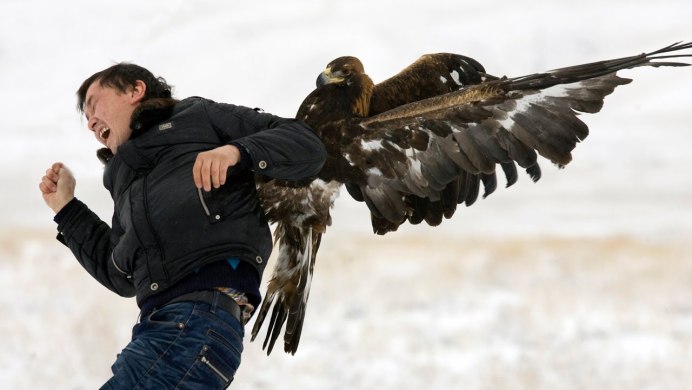 Bird Claw