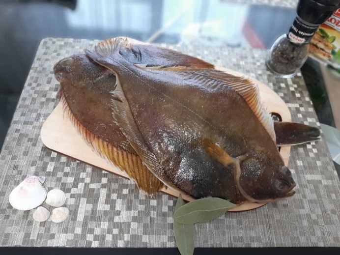 Камбала Звездочет