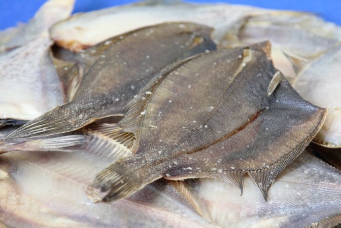 Морская камбала