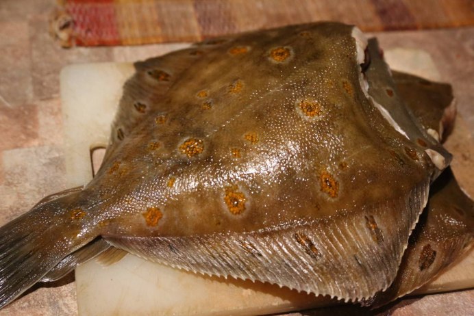 Морские промысловые рыбы фото с названиями