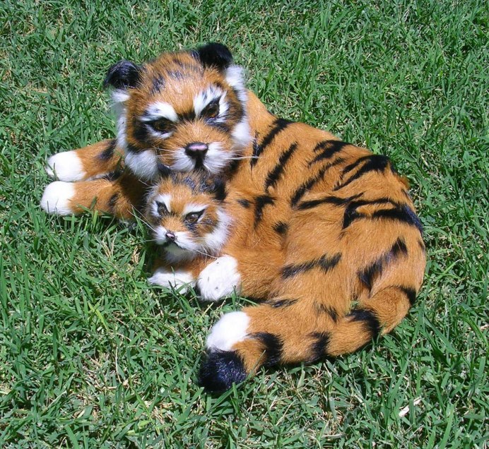 Тигренок в зоопарке