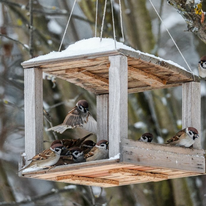 Кормушка "синичка"