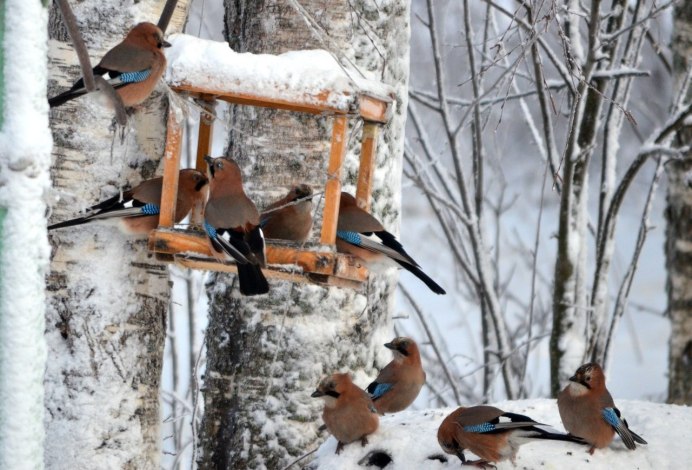 Кормушка для птиц двухэтажная