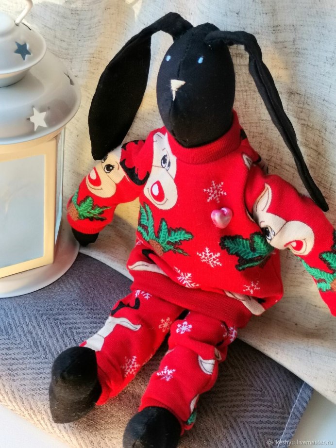 Sylvilagus varynaensis