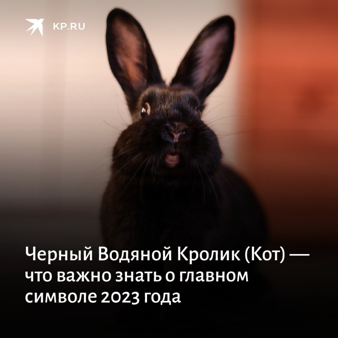 Черный водяной кролик