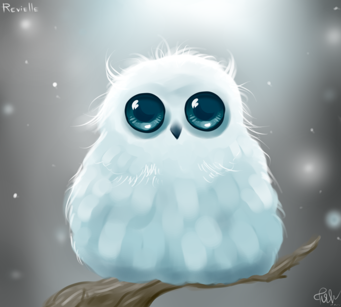 Snow Owl адопт ми 2020