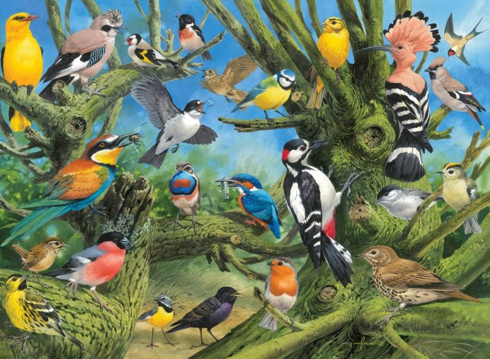 Chickadees and Pine Cones, 13673.