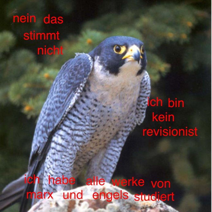 Сапсан птица