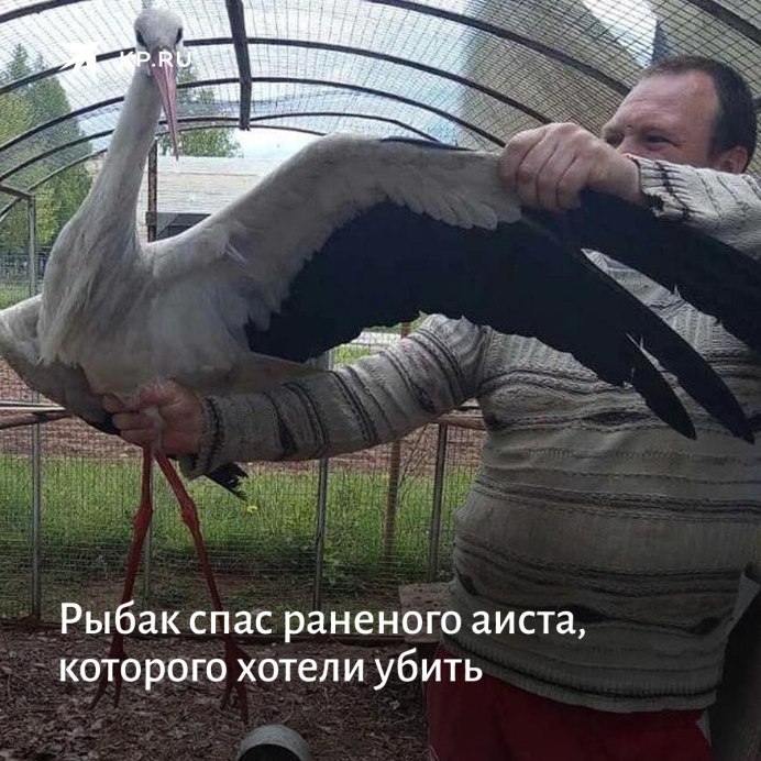 Символ Молдавии Аист с виноградом
