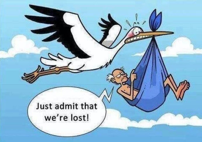 Аисты на крыше