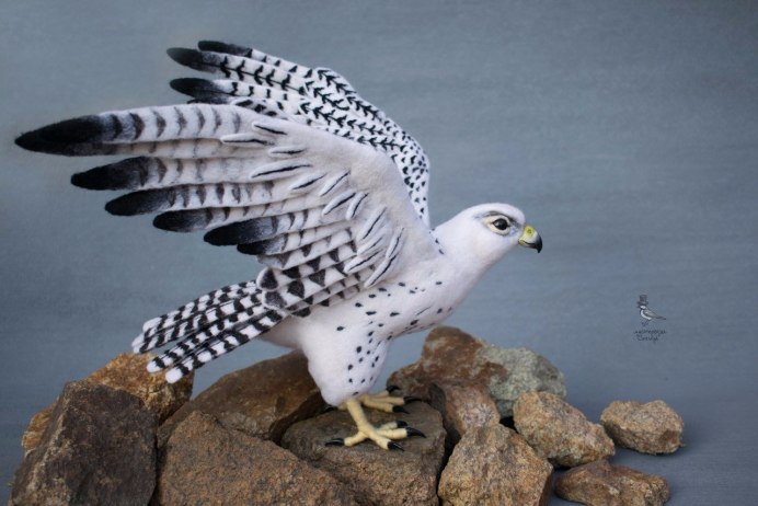 Ferruginous Hawk