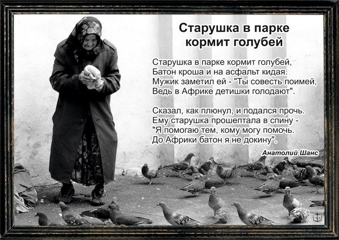 Кормление птиц
