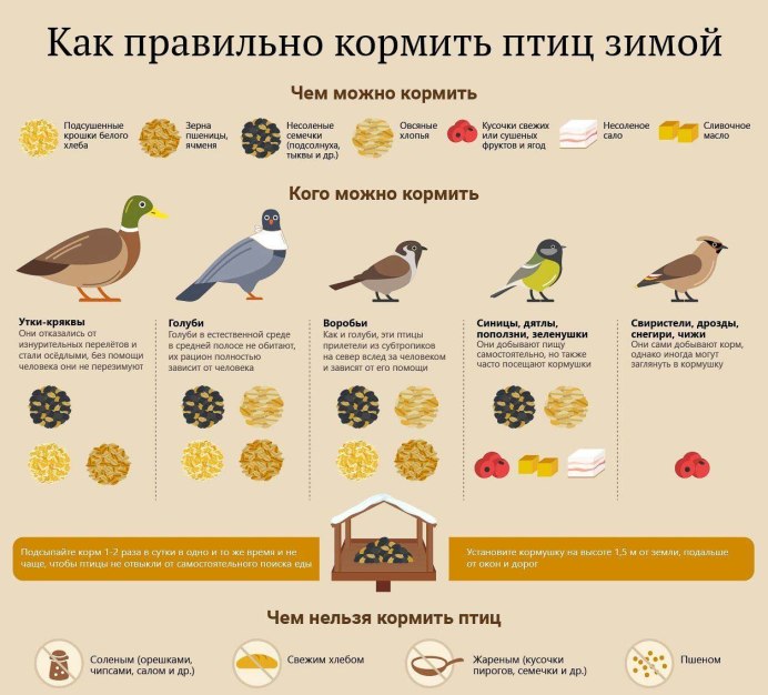 Человек Воробей