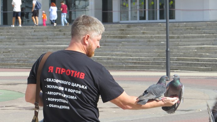Голуби едят рис