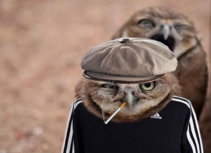 Елена Саморядова