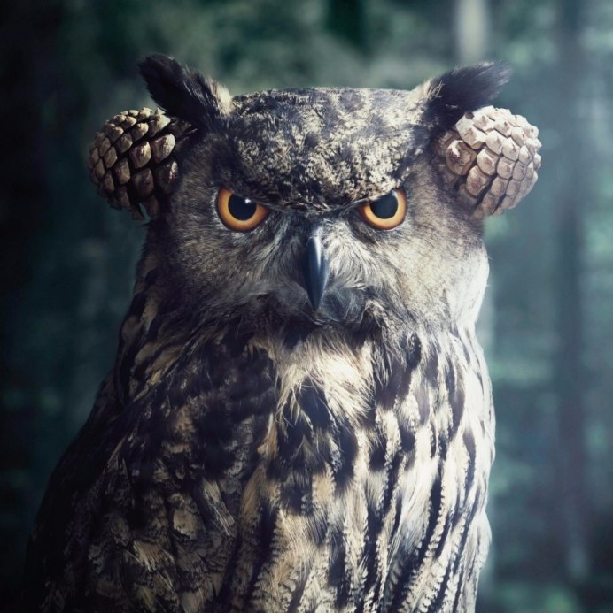 Темный Филин