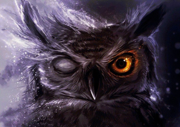 Pseudoscops Clamator