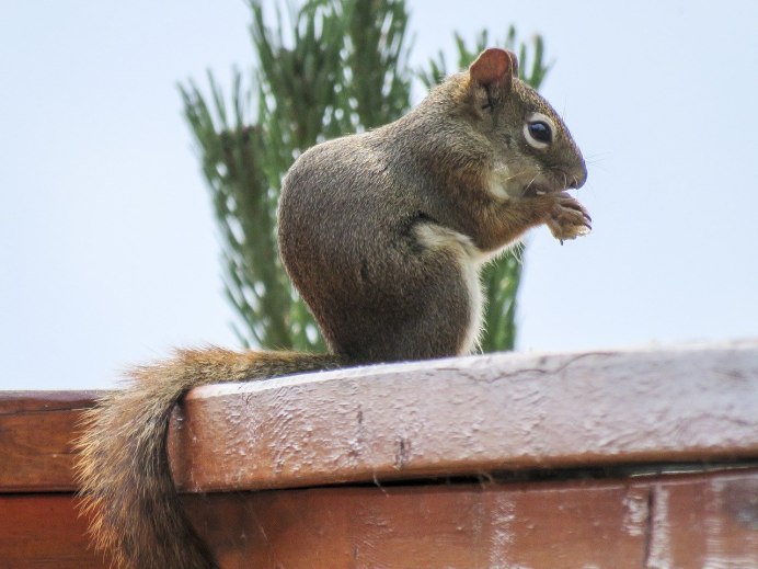 Живая природа