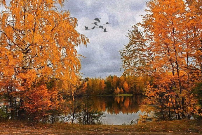 Клин перелетных птиц