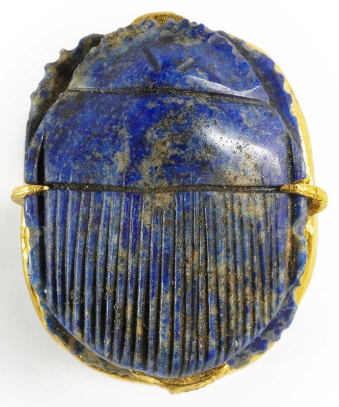 Lepidocyrtus cyaneus