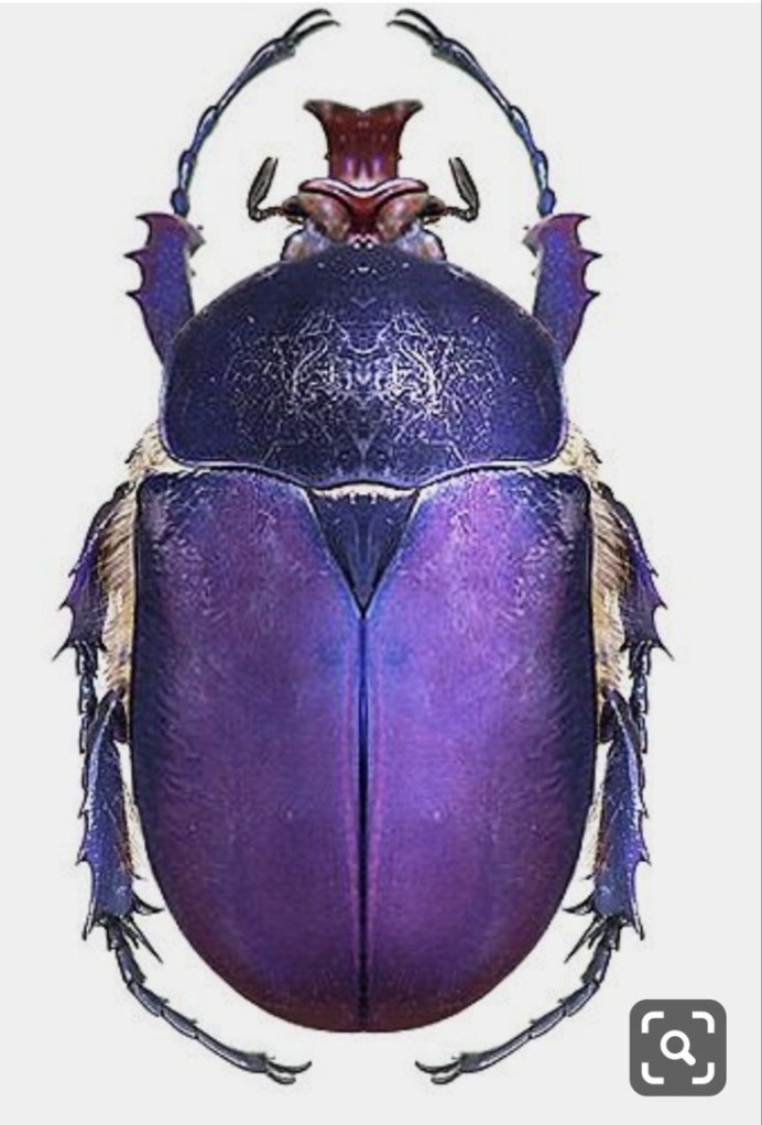 Ювелирное искусство древнего Египта Жук скарабей