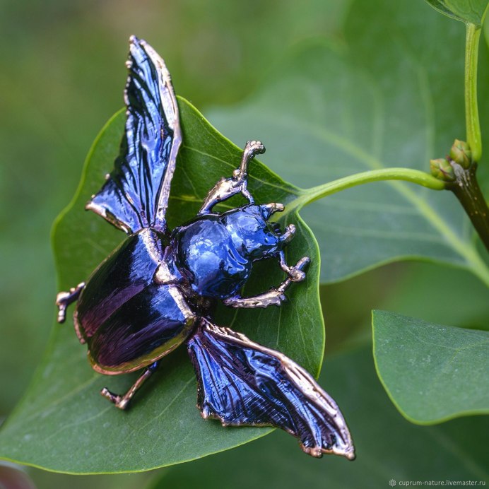 Синий Жук DC