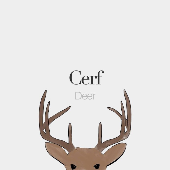 Белохвостый олень