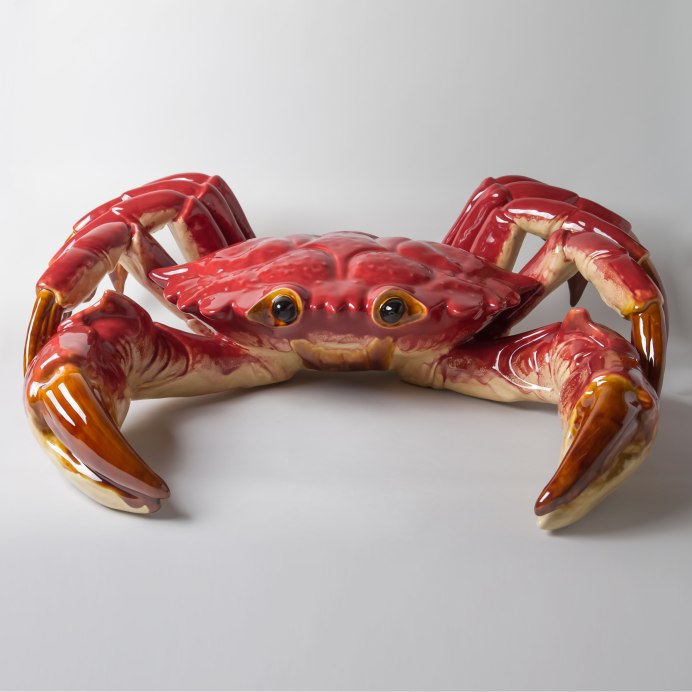 Шипохвостый краб