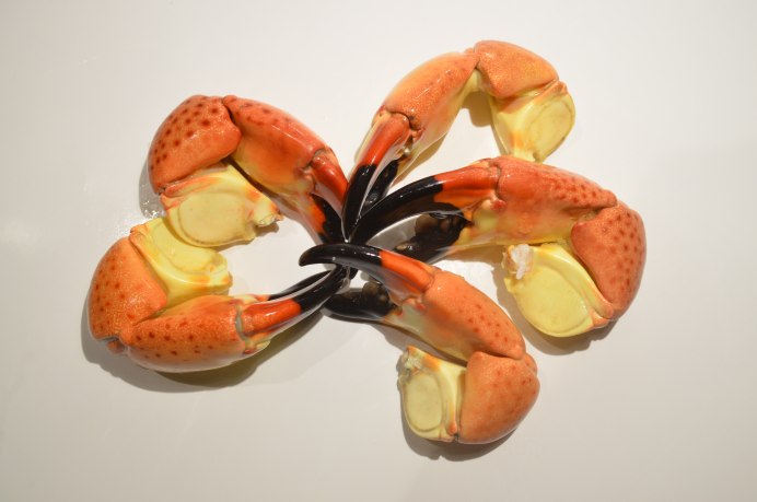 Смешной краб