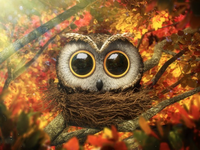 Недовольная Сова