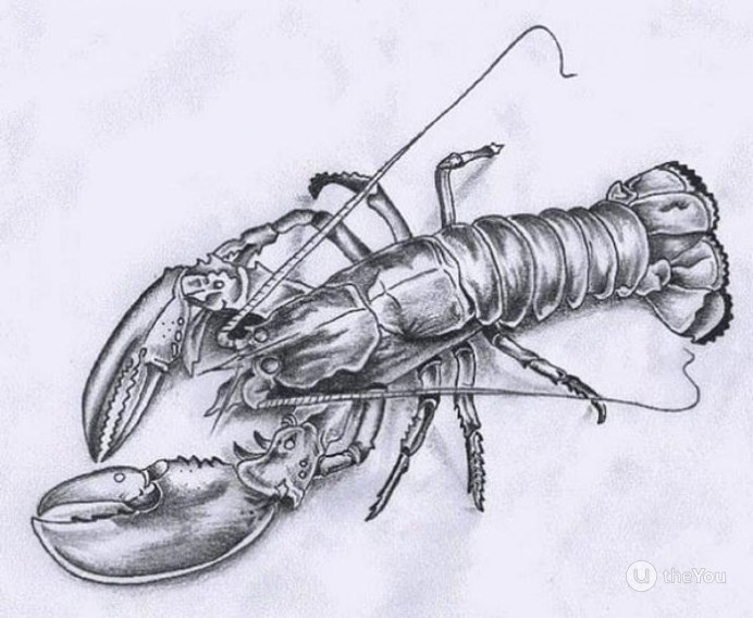 Мексиканский Скорпион
