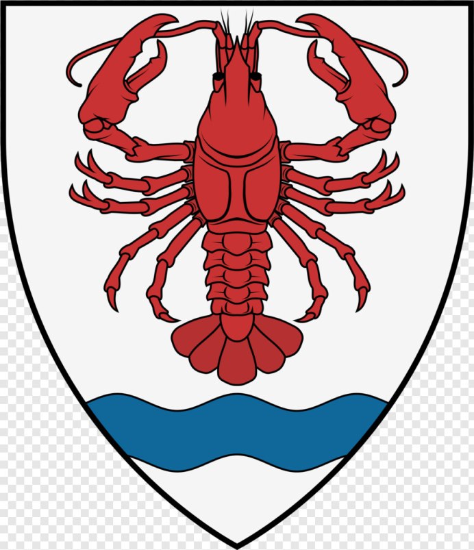 Grapsus Grapsus краб