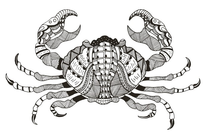 Arthropoda ракообразные