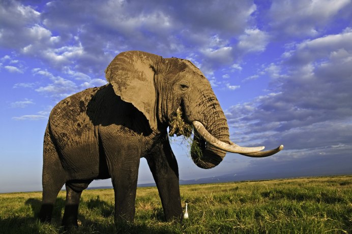 Африканский закат