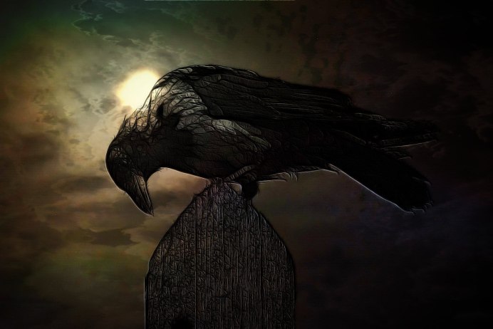 Black Raven 88