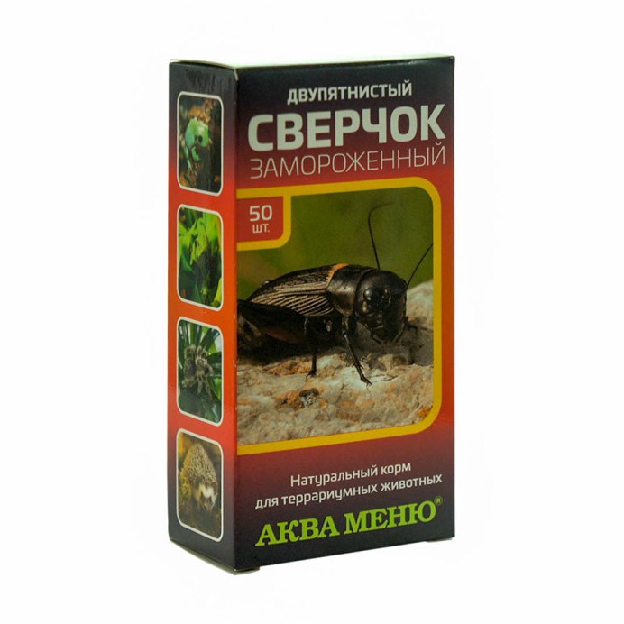 Яйца сверчков