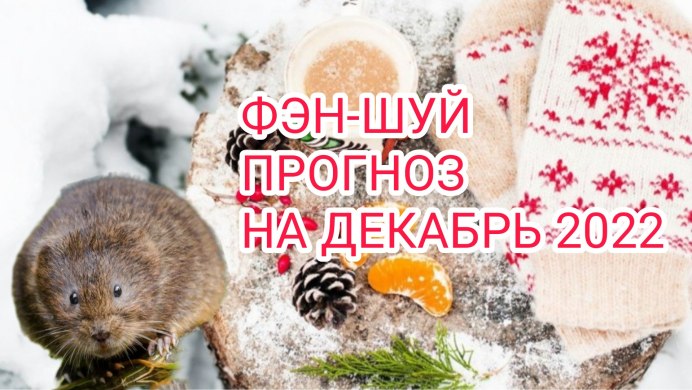 Водяная крыса ондатра