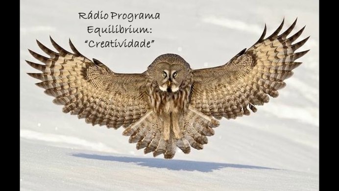 Сова в полете